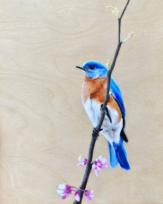 Bluebird Print