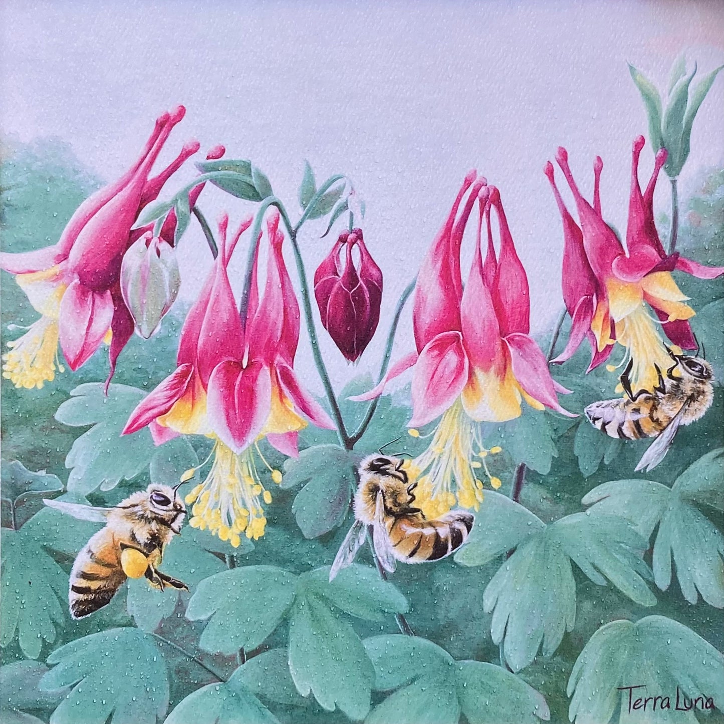 Honeybees & Columbine Print