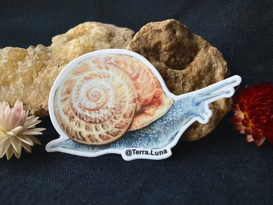 Snail Sticker