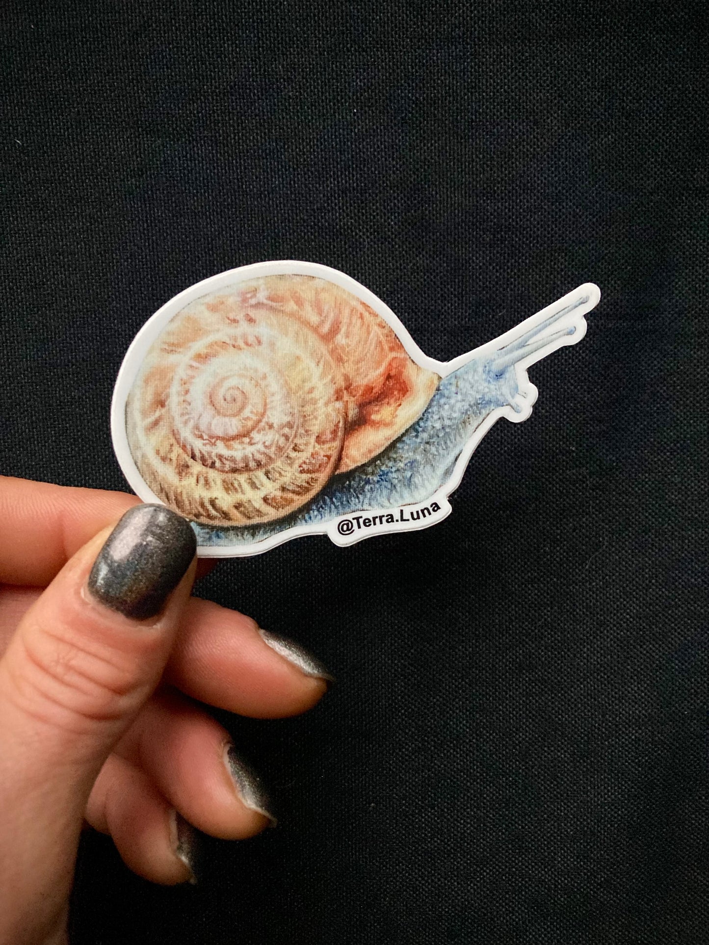 Snail Sticker