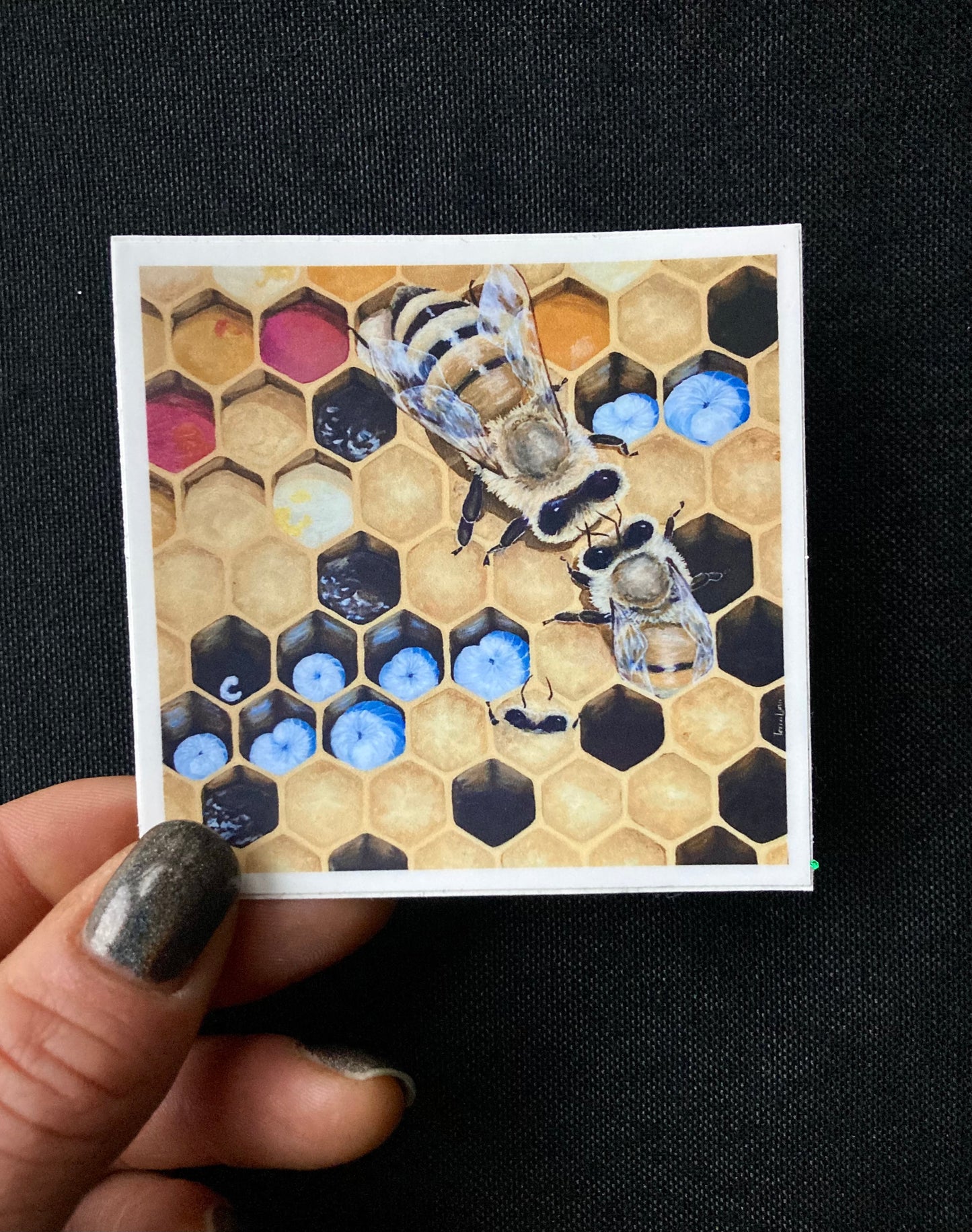 Honeycomb Sticker