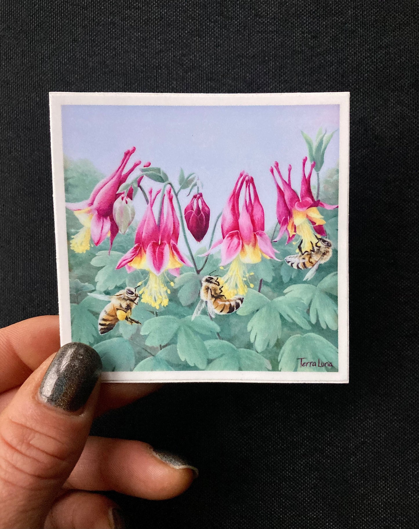 Honeybees&Columbine Sticker