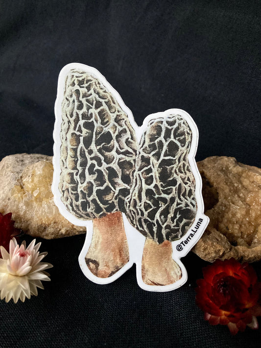 Morel Mushroom Sticker