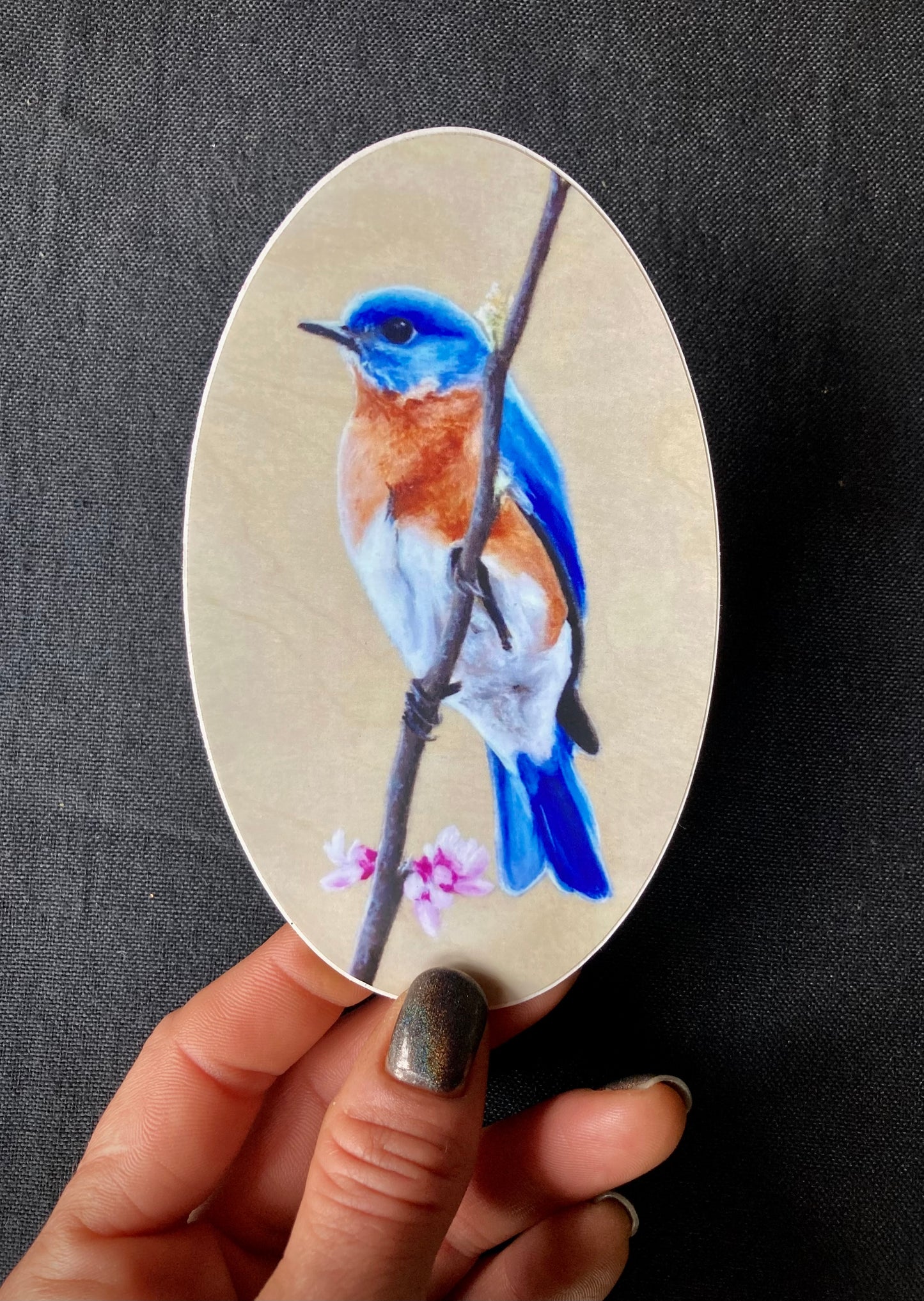 Bluebird Sticker