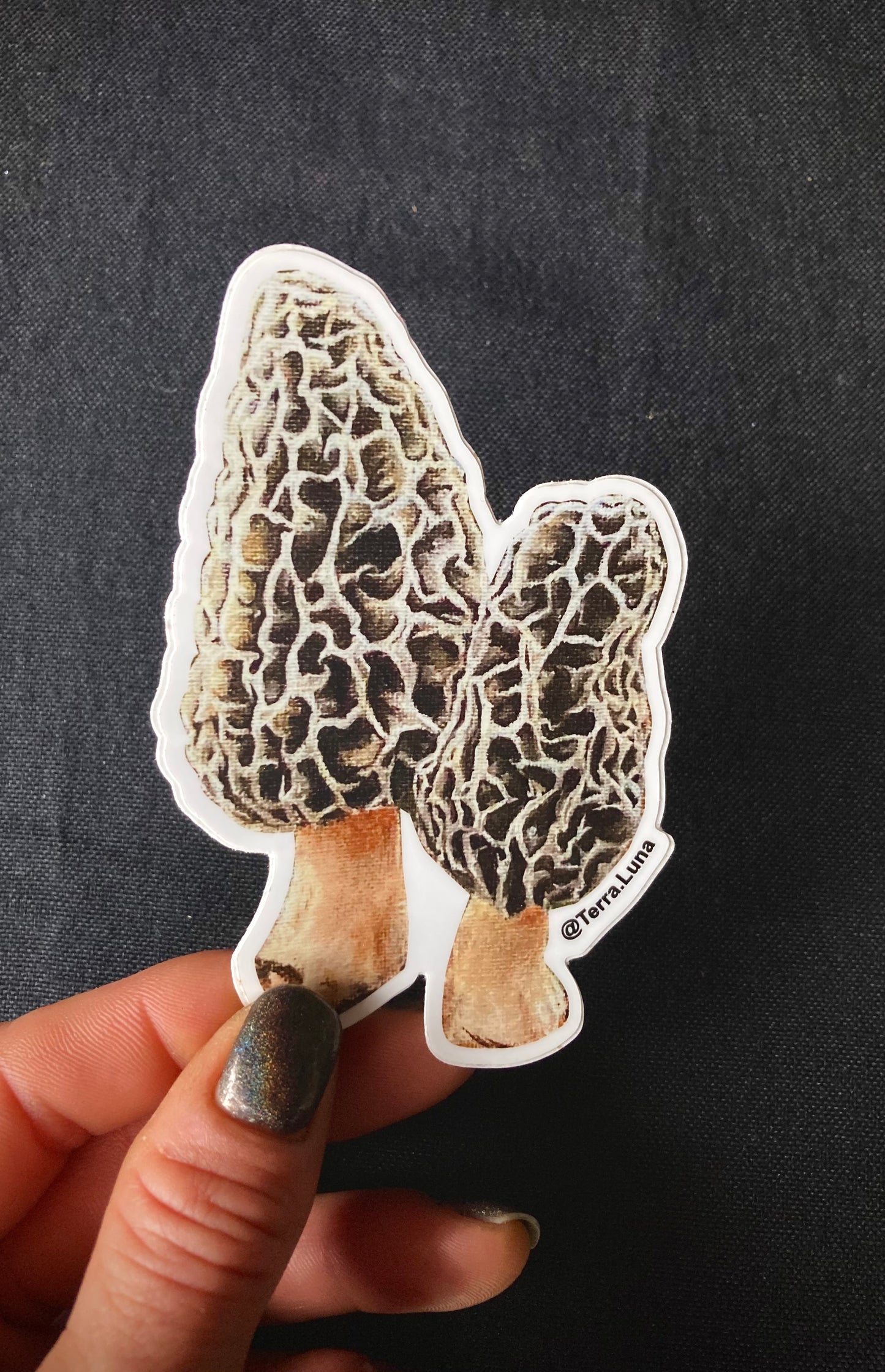 Morel Mushroom Sticker