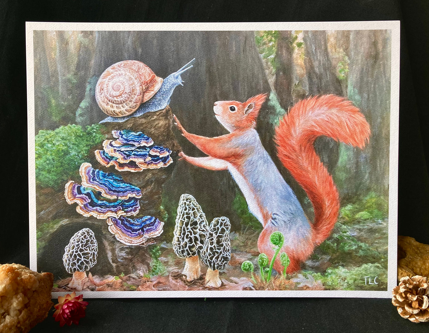 Squirrel & Snail Print